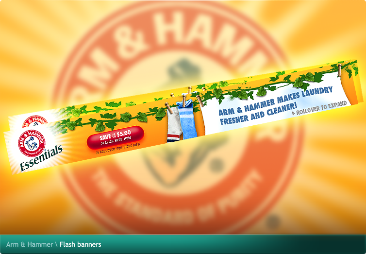 Arm & Hammer Flash banners